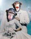 آگهی ازدواج مرد ایرانی خودخواه  ( طنز )