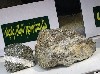 آسوشیتدپرس: ایران به دنبال قاچاق سنگ اورانیوم 