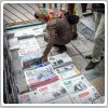 مرور روزنامه‌های صبح تهران: ‌پنجشنبه ۱۶ مرداد