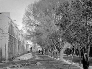 ۱۰۰سال پیش، تهران چند خیابان داشت؟