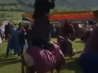 رقص زن مازندرانی بر روی یک الاغ در جشنواره گلاب‌گیری روستای کندلک