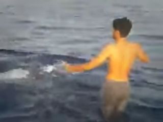 تلاش برای سواری گرفتن از یک نهنگ در آب‌های خلیج فارس - سواحل بوشهر