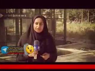 گزارشی از درامد گدایی در ایران. خبرنگار ۲۰ دقیقه میره گدائی. ببینید درامدش چقدره