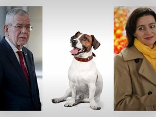 سگ رئیس‌ جمهور مولداوی دست رئیس جمهور اتریش را گاز گرفت