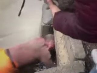 نجات توله سگهای گرفتار در زیر یک پُل توسط یک پاکبان مهربان در خیابان شریعتی بروجرد