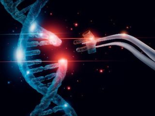 کم‌خونی داسی‌شکل چیست و شیوه درمان «قیچی‌ ژنتیکی» چگونه عمل می‌کند؟