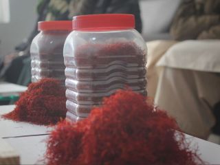 «هر ماه ده تن» از زعفران تولید ایران به خارج قاچاق می‌شود