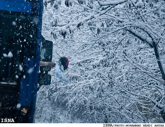 آغاز متفاوت زندگی مشترک زوج گرگانی آغاز متفاوت زندگی مشترک زوج گرگانی