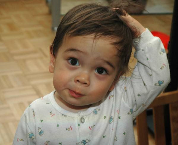 واقعا سر در نمیارم! واقعا سر در نمیارم!