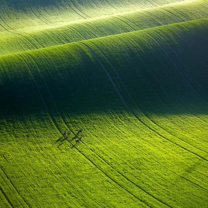دمی دور از هیاهو , با طبیعت رویایی کره زمین - 1