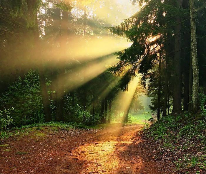 دمی دور از هیاهو , با طبیعت رویایی کره زمین - 1