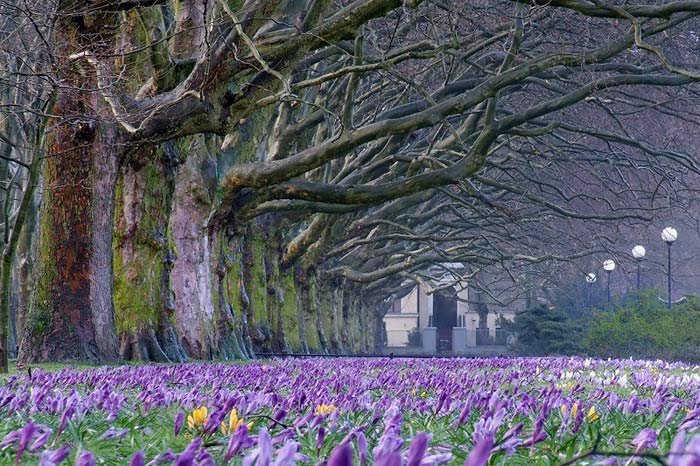 دمی دور از هیاهو , با طبیعت رویایی کره زمین - 1