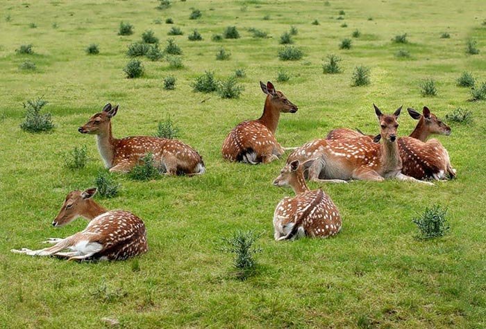 دمی دور از هیاهو , با طبیعت رویایی کره زمین - 1