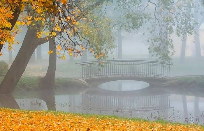 دمی دور از هیاهو , با طبیعت رویایی کره زمین - 2