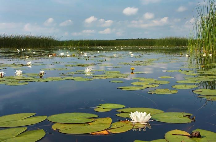 دمی دور از هیاهو , با طبیعت رویایی کره زمین - 2