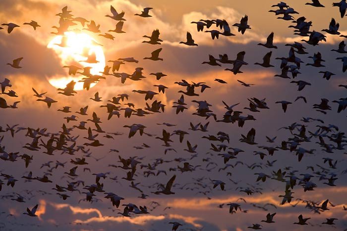 دمی دور از هیاهو , با طبیعت رویایی کره زمین - 2