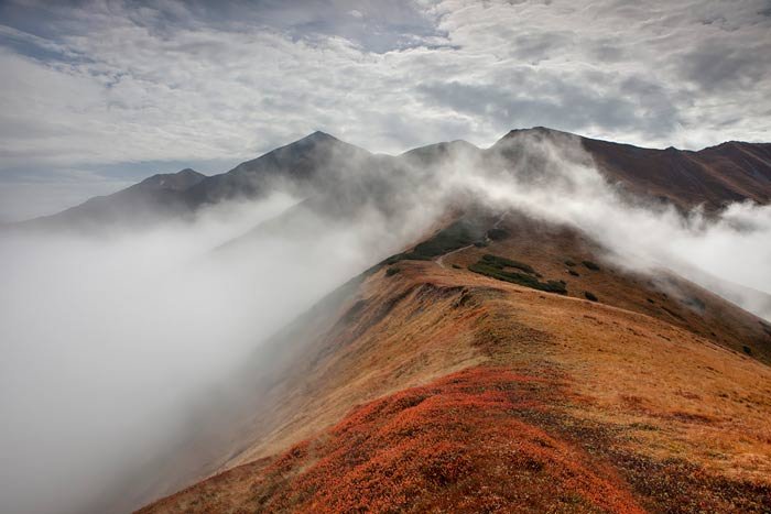 دمی دور از هیاهو , با طبیعت رویایی کره زمین - 2