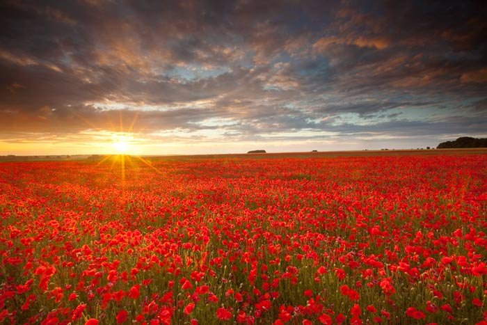 دمی دور از هیاهو , با طبیعت رویایی کره زمین - 2