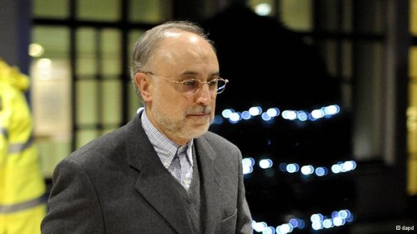 صالحی خواستار تعامل غرب با ایران شد