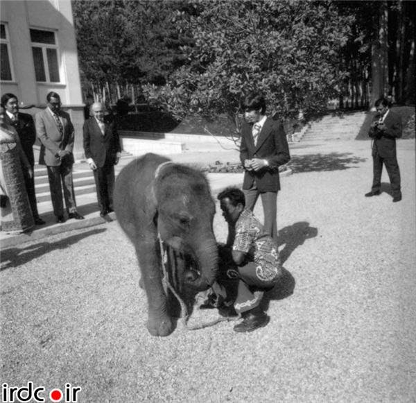 منتخبی از عکسهای روز اینترنت منتخبی از عکسهای روز اینترنت