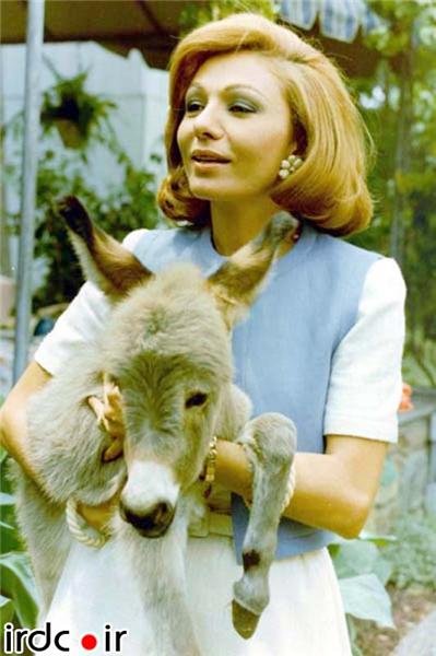 منتخبی از عکسهای روز اینترنت منتخبی از عکسهای روز اینترنت