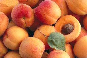 زردآلو کیلویی ۲۰ هزار تومان