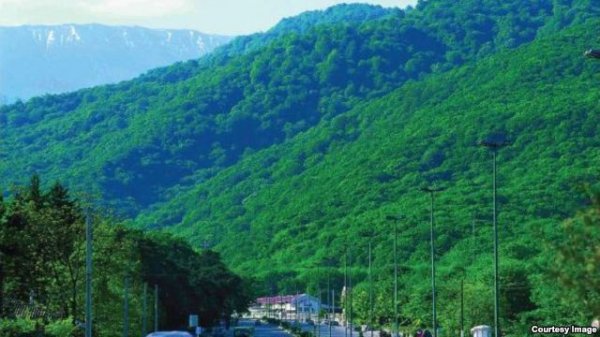 قطع درختان پارک جنگلی ناهارخوران گرگان برای ساخت موزه دفاع مقدس