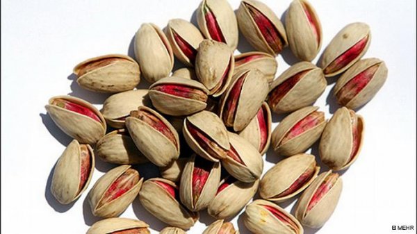 از لوس‌بازی بر سر هزینه‌های اجلاس غیر متعهدها تا درآمد ۱۰۳ سال نفت (مرور تصویری اقتصاد ایران) 