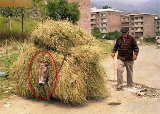 منتخبی از عکسهای روز اینترنت 105