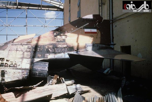 منتخبی از عکسهای روز اینترنت 105