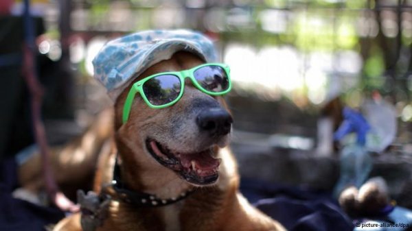 تابستان عجیب آلمان به پایان رسید 