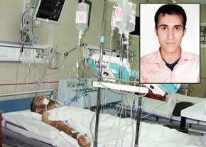یک مرگ مغزی جان بخشید یک مرگ مغزی جان بخشید
