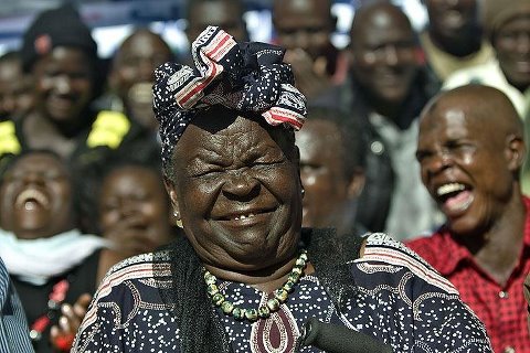 منتخبی منتخبی