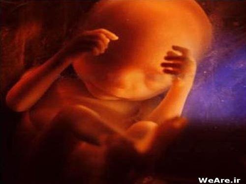 کشف جنین مرده در یکی ازمدارس 