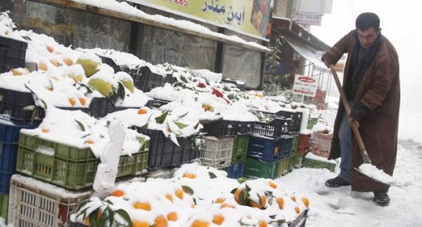 از اسکناس جدید یورو تا وزیر بدخط آمریکا از اسکناس جدید یورو تا وزیر بدخط آمریکا