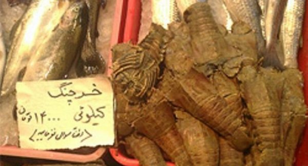 رویدادهای عجیب هفته رویدادهای عجیب هفته