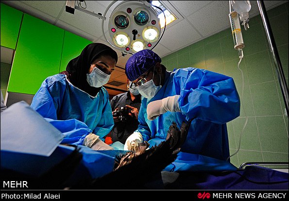 عمل جراحی عقاب مجروح عمل جراحی عقاب مجروح