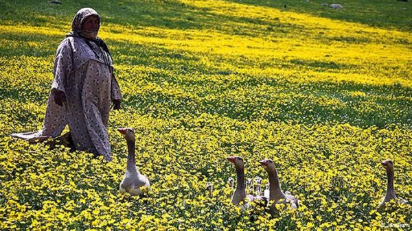 ایران آنگونه که ندیدهاید ایران آنگونه که ندیدهاید