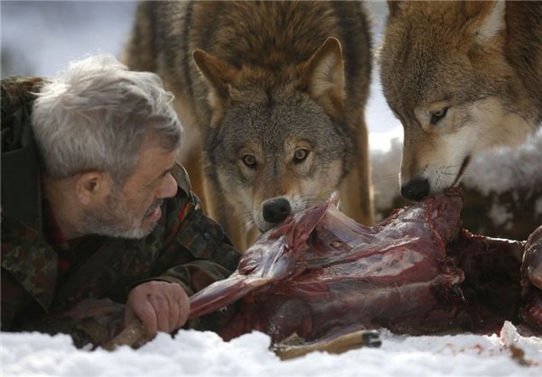 رقصنده با گرگ، اینبار در غرب آلمان رقصنده با گرگ، اینبار در غرب آلمان