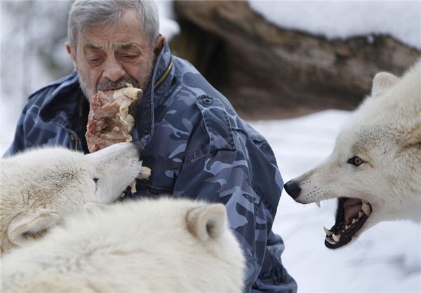 رقصنده با گرگ، اینبار در غرب آلمان رقصنده با گرگ، اینبار در غرب آلمان
