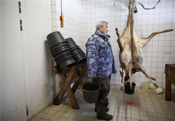 رقصنده با گرگ، اینبار در غرب آلمان رقصنده با گرگ، اینبار در غرب آلمان