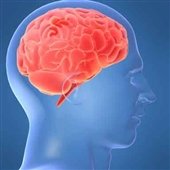 صدمات مغزی ناشی از یادگیری زیاد صدمات مغزی ناشی از یادگیری زیاد