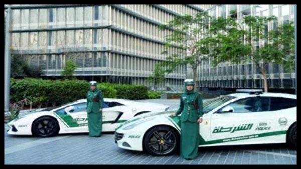 منتخبی از عکسهای روز اینترنت